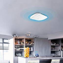Access Point Inalámbrico Wi-Fi 4 Montaje en Techo TP-Link EAP115 , 300 Mbps